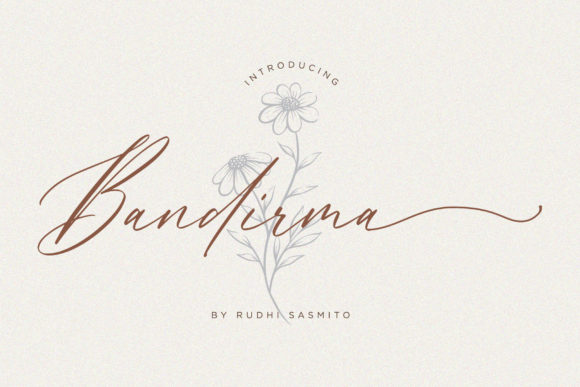 Bandirma Font Review: Elevating Campaign Visuals with Style