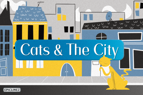 Cats and the City: A Minimalist Handwritten Font for Editorial Design
